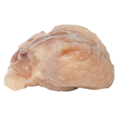 Turkey Tail - 1lbs Turkey Tail - 1lbs