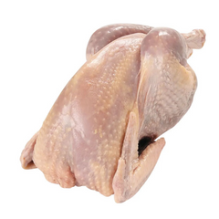 Light Fowl Chicken 1box/65lbs