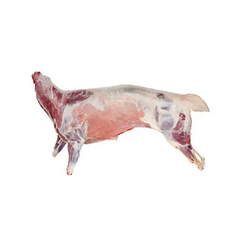 Whole Lamb Halal per Lbs