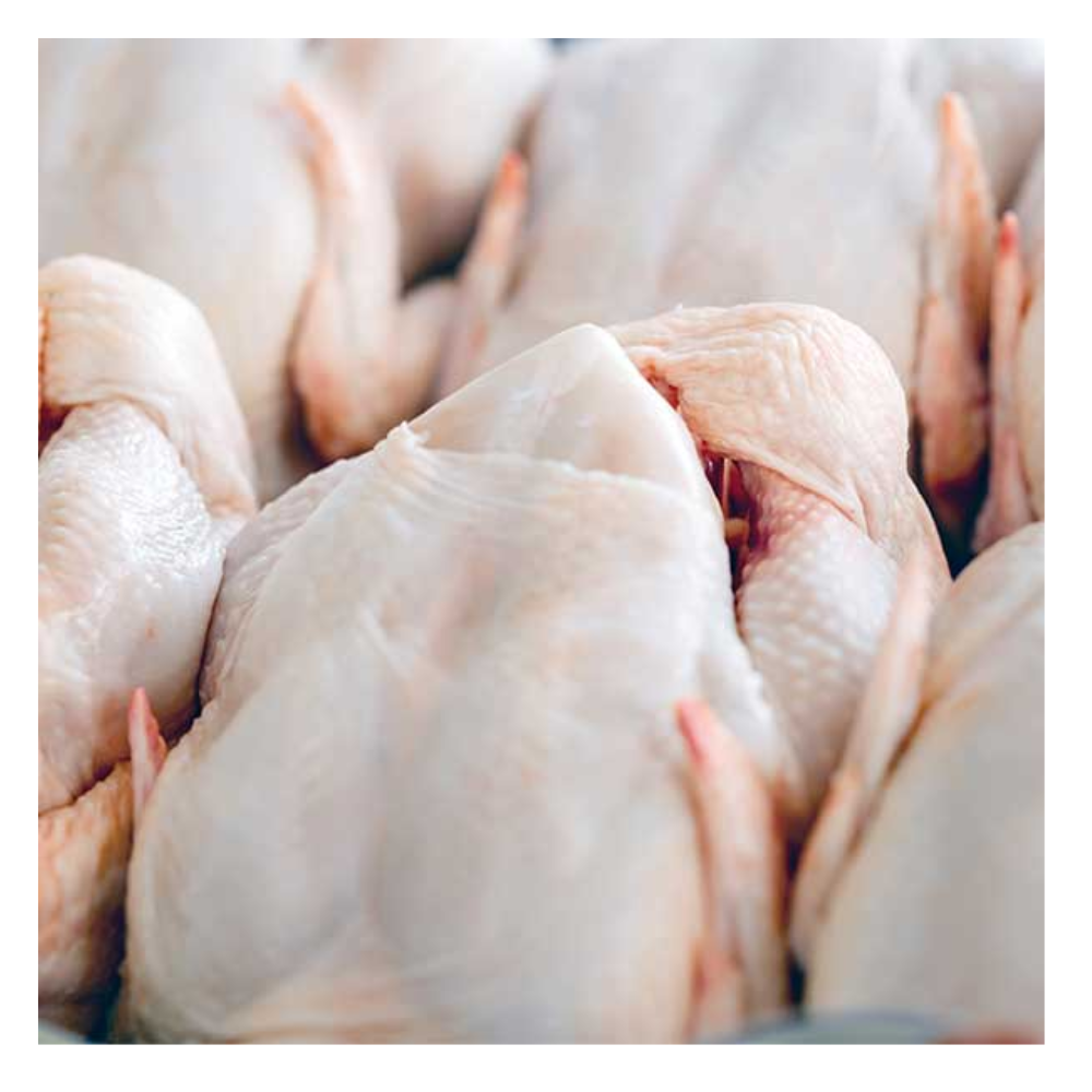 Heavy Fowl Chicken per Lbs