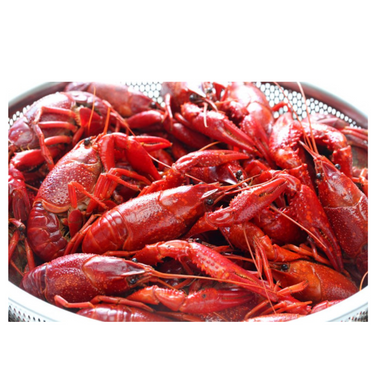Frozen Crayfish – 1 lbs